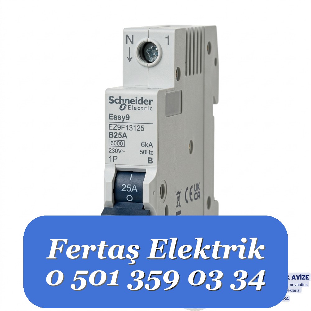 Schneider Easy9 25A B Tipi 1 Fazlı Otomatik Sigorta (6kA)